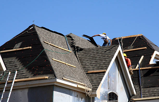 Best Emergency Roof Repair  in Dakota City, NE