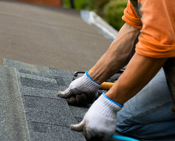 Reliable Dakota City, NE Roofing Contractor Solutions